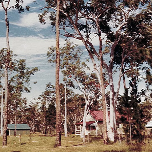 1980s View of Village